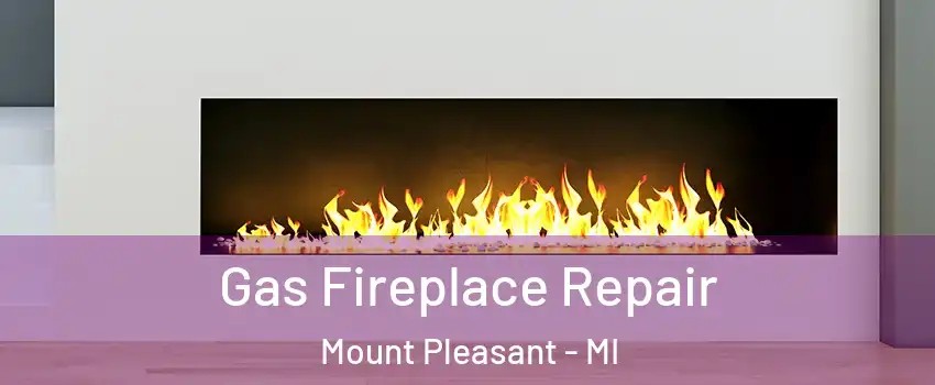  Gas Fireplace Repair Mount Pleasant - MI