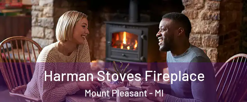  Harman Stoves Fireplace Mount Pleasant - MI