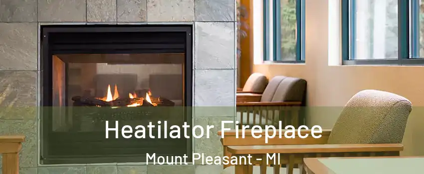 Heatilator Fireplace Mount Pleasant - MI