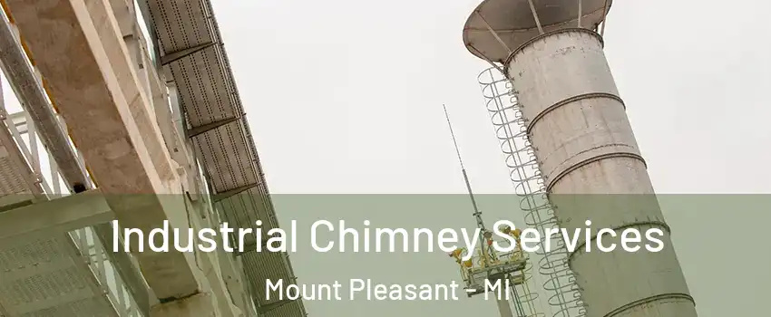  Industrial Chimney Services Mount Pleasant - MI
