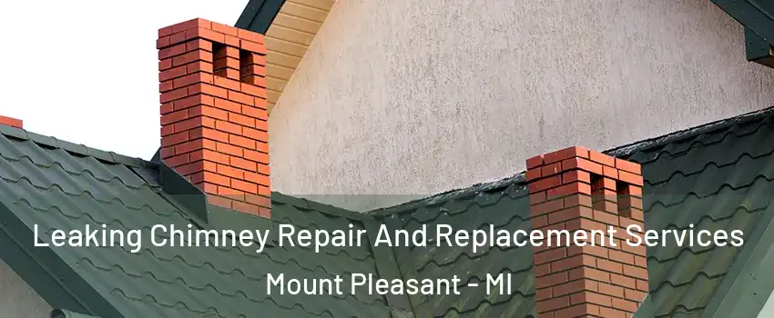 Leaking Chimney Repair And Replacement Services Mount Pleasant - MI
