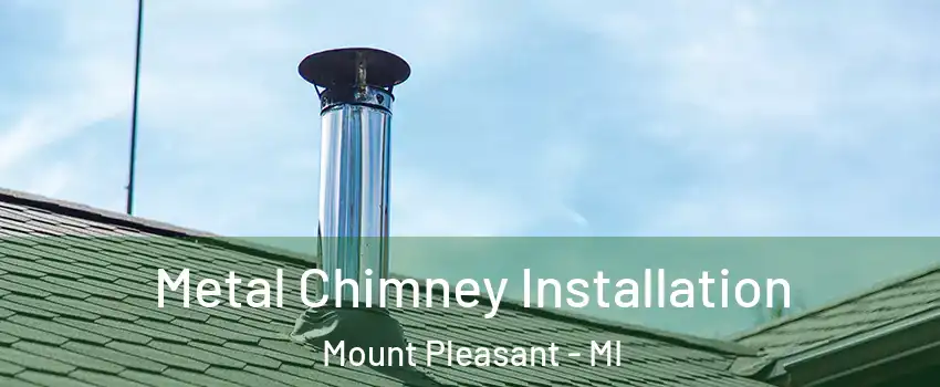  Metal Chimney Installation Mount Pleasant - MI