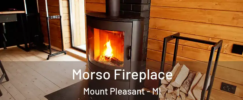  Morso Fireplace Mount Pleasant - MI