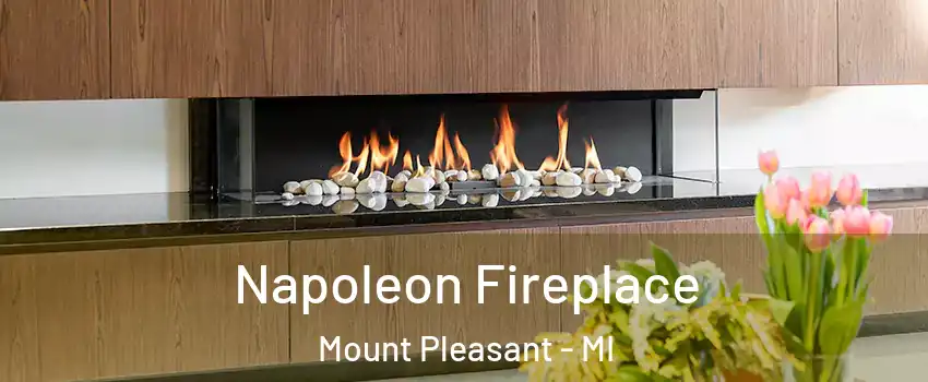 Napoleon Fireplace Mount Pleasant - MI