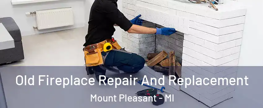  Old Fireplace Repair And Replacement Mount Pleasant - MI