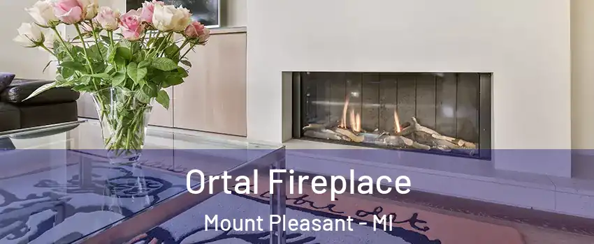Ortal Fireplace Mount Pleasant - MI