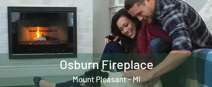  Osburn Fireplace Mount Pleasant - MI