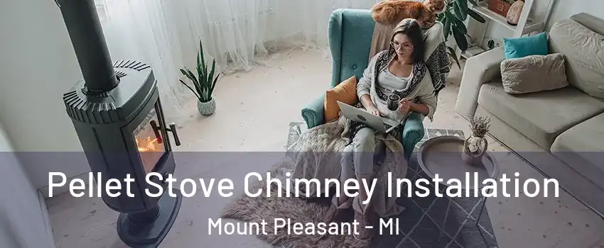 Pellet Stove Chimney Installation Mount Pleasant - MI
