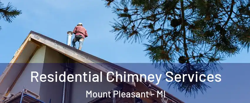  Residential Chimney Services Mount Pleasant - MI