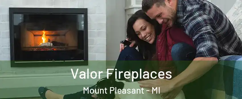  Valor Fireplaces Mount Pleasant - MI