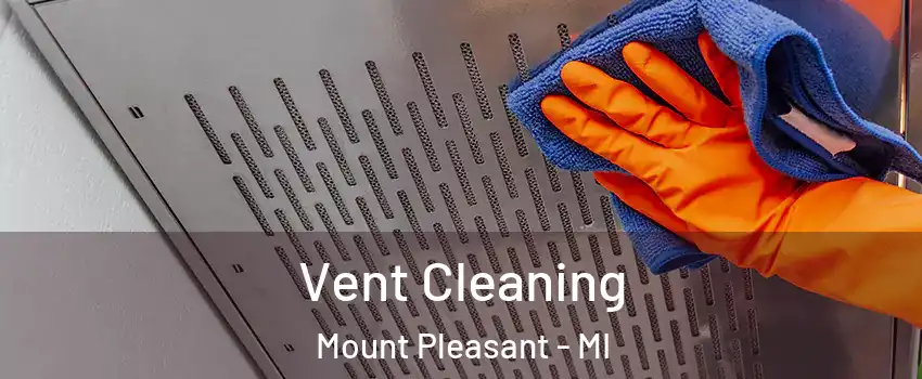  Vent Cleaning Mount Pleasant - MI