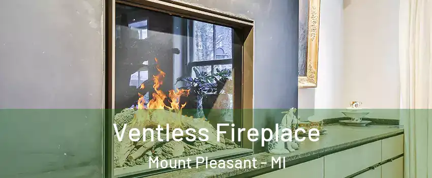  Ventless Fireplace Mount Pleasant - MI