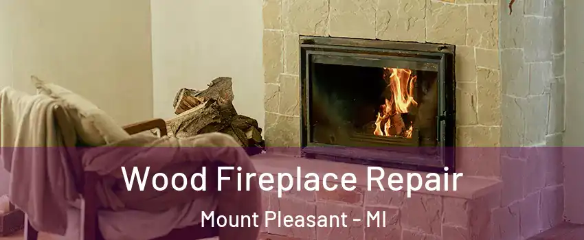  Wood Fireplace Repair Mount Pleasant - MI