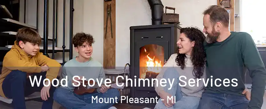  Wood Stove Chimney Services Mount Pleasant - MI