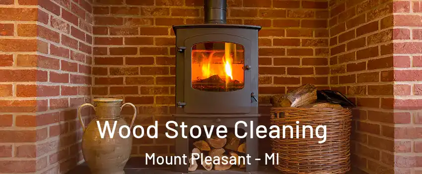  Wood Stove Cleaning Mount Pleasant - MI