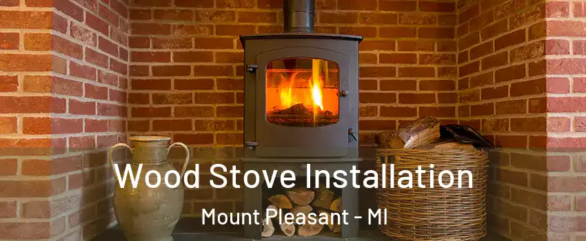  Wood Stove Installation Mount Pleasant - MI