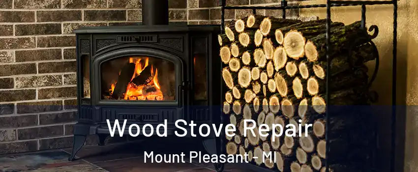  Wood Stove Repair Mount Pleasant - MI